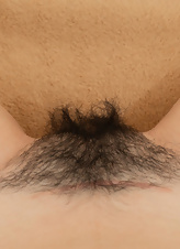 Hairy pussy bush attractive in erotic photos